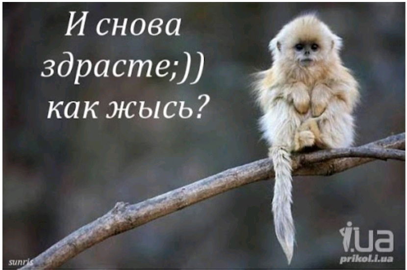 Итак, что я пропустила?