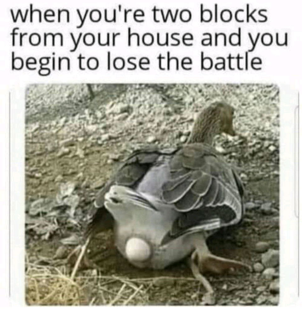 Well, It's solid At least