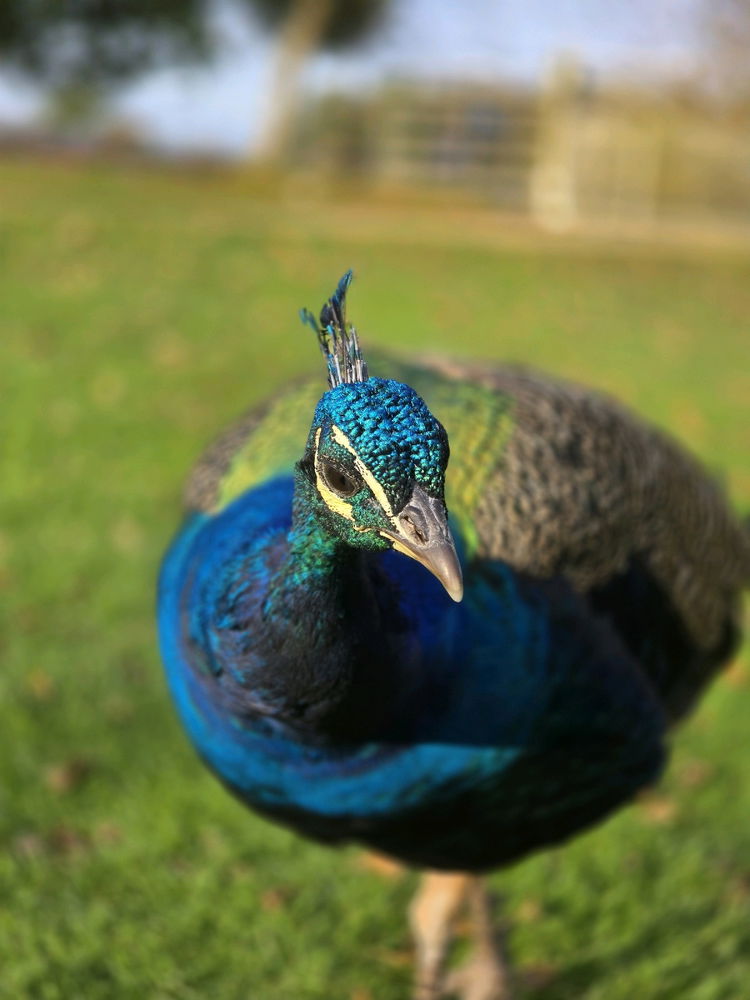 Impromptu photoshoot
