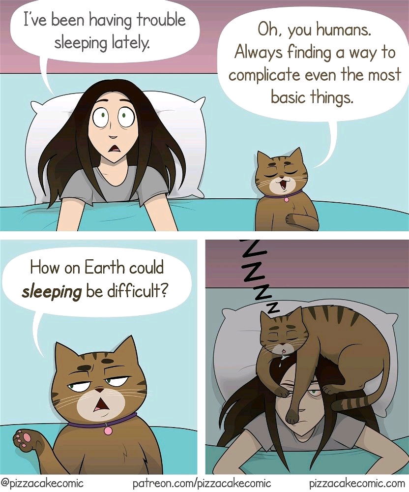 Tomcatish Thoughts