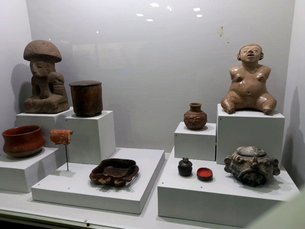 Salida al museo