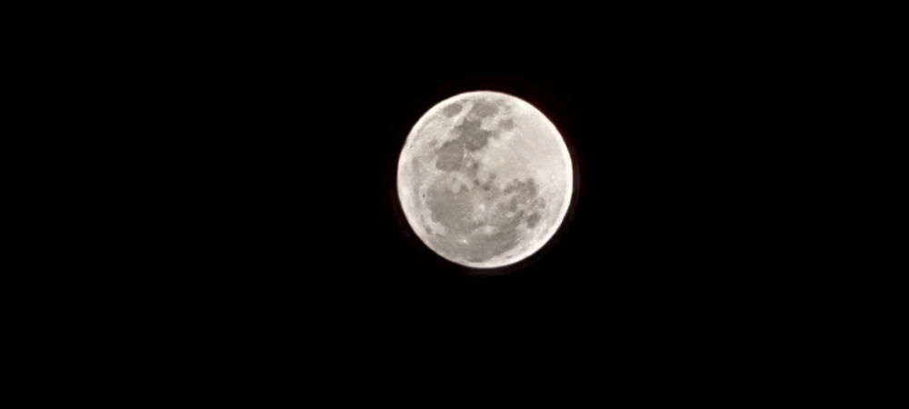 Gostei dessas fotos