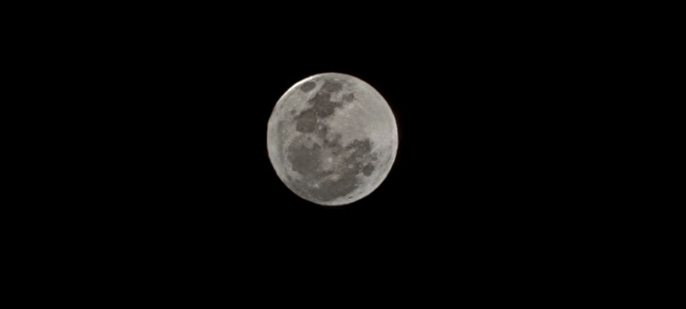 Gostei dessas fotos