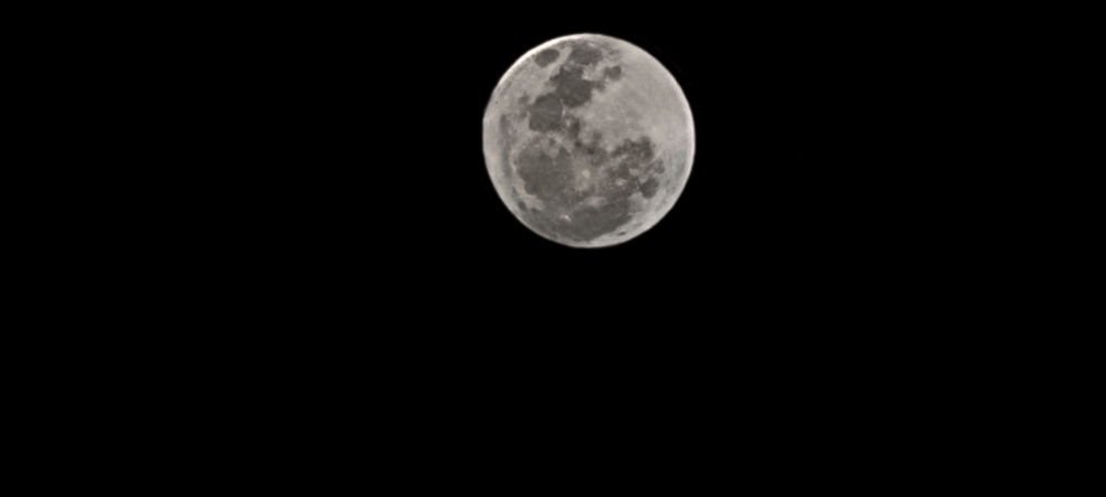 Gostei dessas fotos