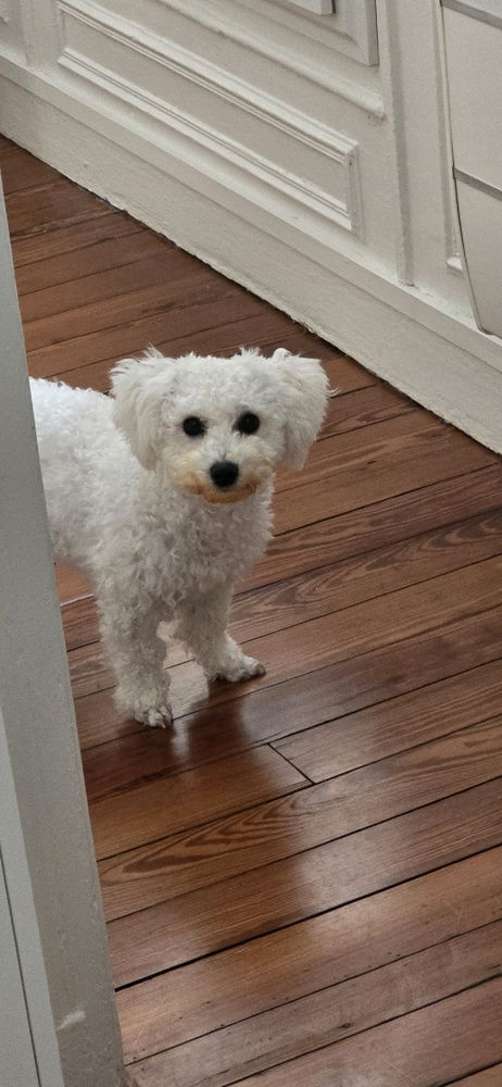 Can you guess who ate my pasta bolognese? 😭