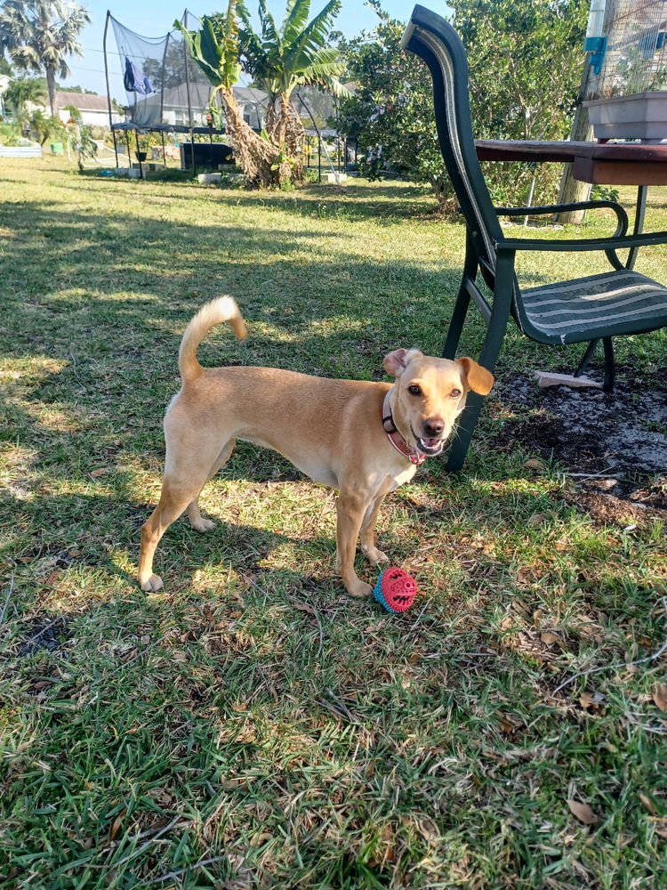 My fur baby