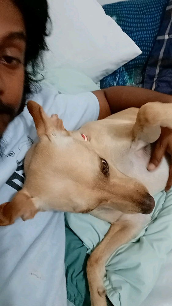 My fur baby