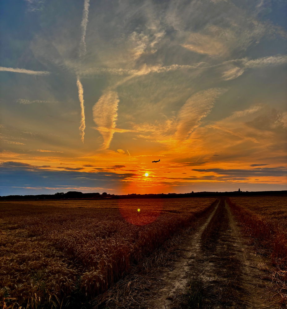 The evening walks are speechless