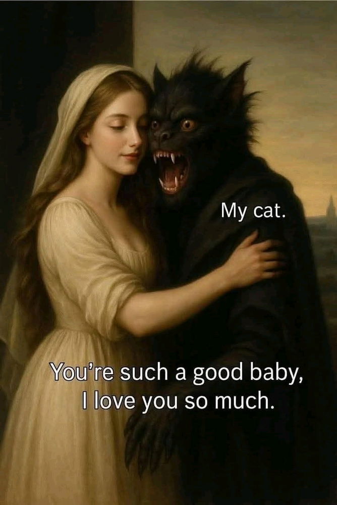 🐈‍⬛️