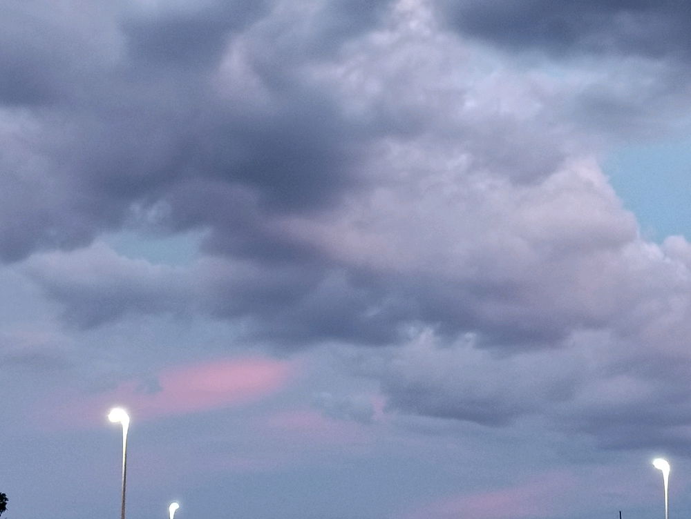 I love taking pictures