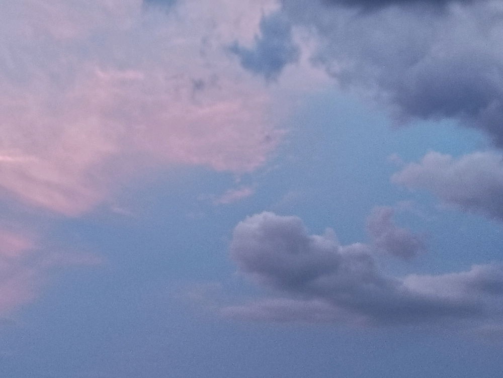 I love taking pictures
