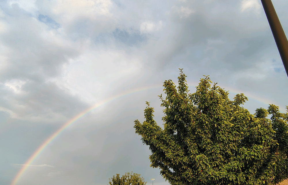 I love taking pictures