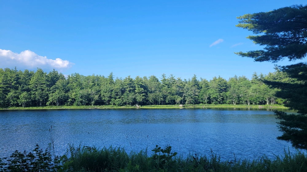 Pics from my latest adventures ✨️