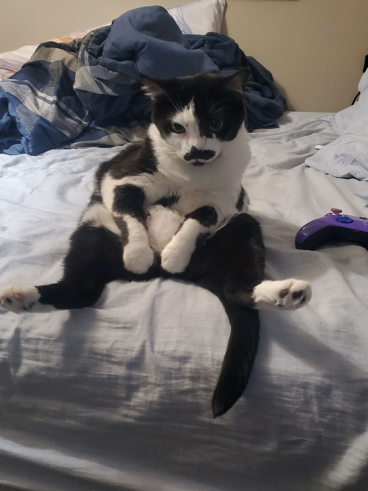 Bedtime
