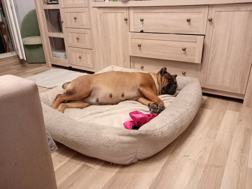 Getting ready for little sleepies...
