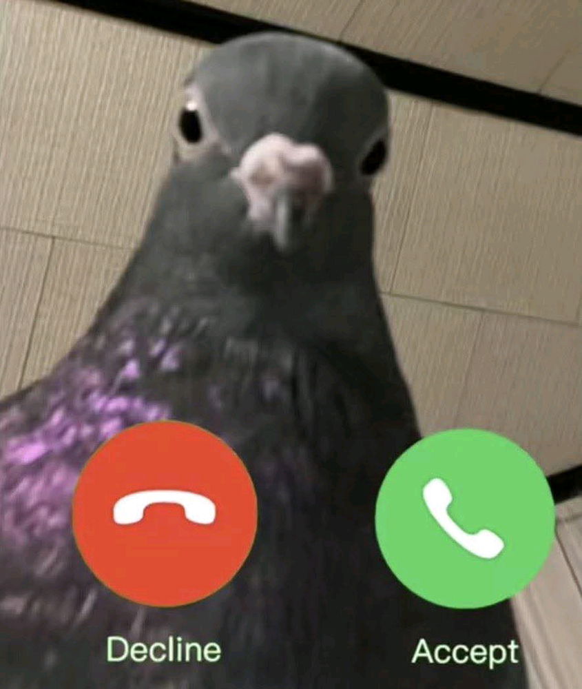 hola?