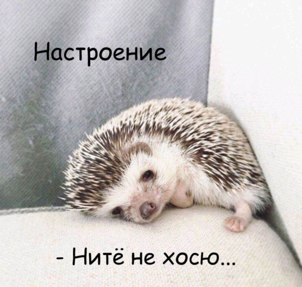 Были такие мысли сегодня...