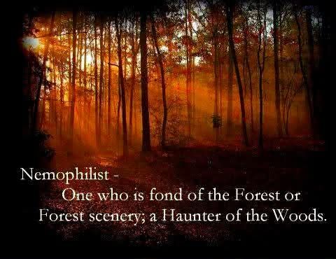 Nemophilist