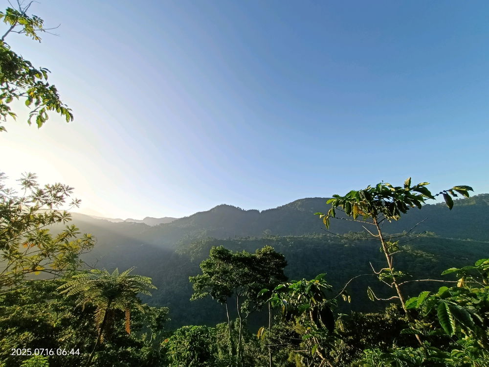 Amo la naturaleza 😍 🏞️