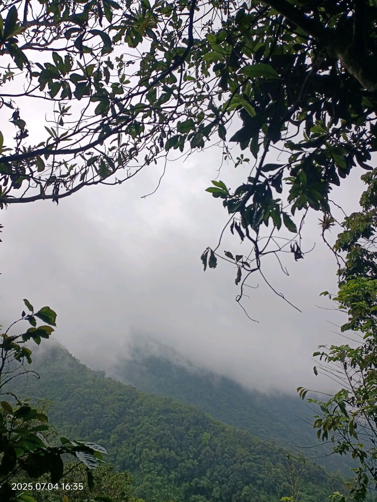 Amo la naturaleza 😍 🏞️