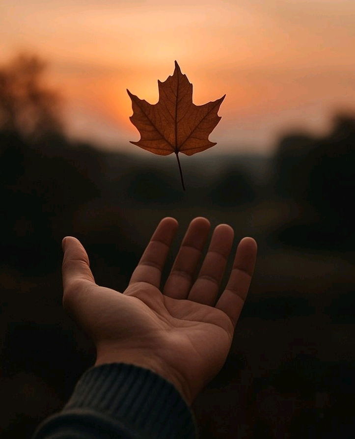 All the problems are stuck between "Mind" & "Matter"..
If You don't ''Mind'', it doesn't "Matter"..