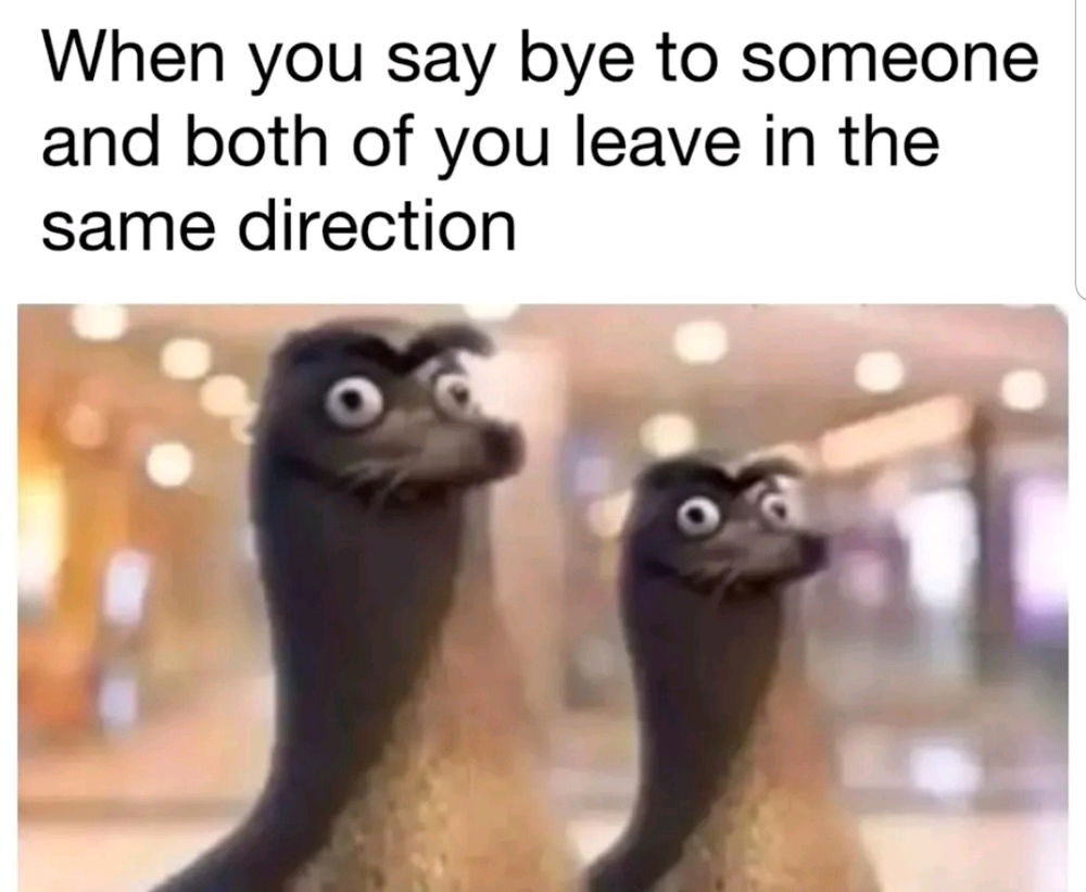 Fr 💁‍♀️