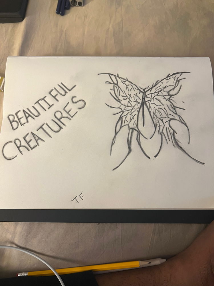 My new drawing ✍️🦋
