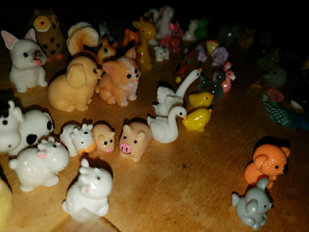 Tiny Creatures Everywhere