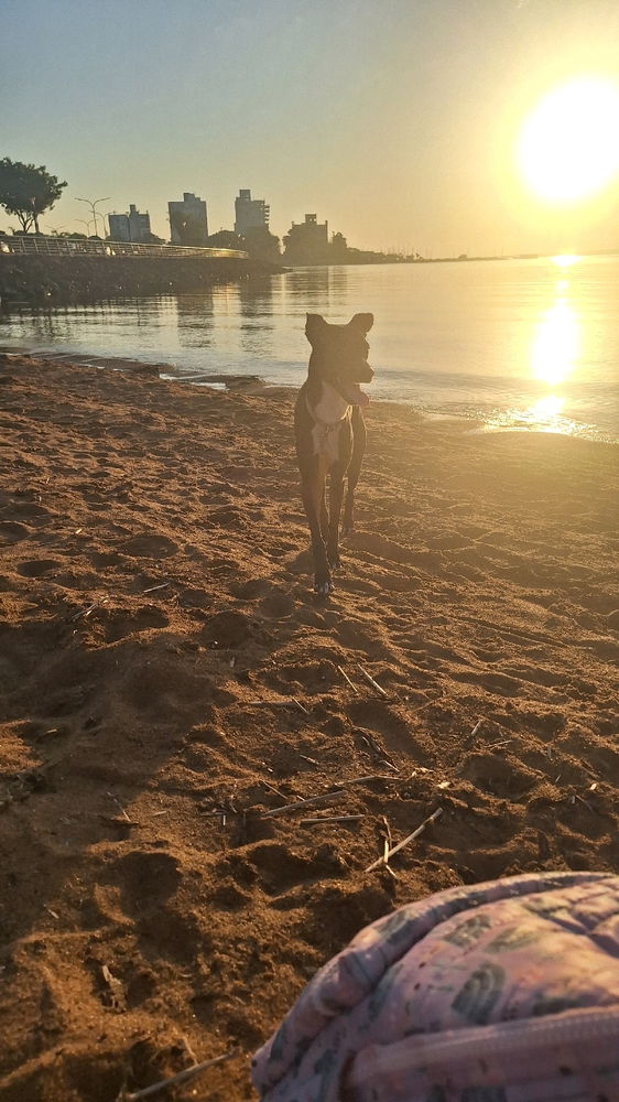 Un día de playa 🏖🐚🪸
