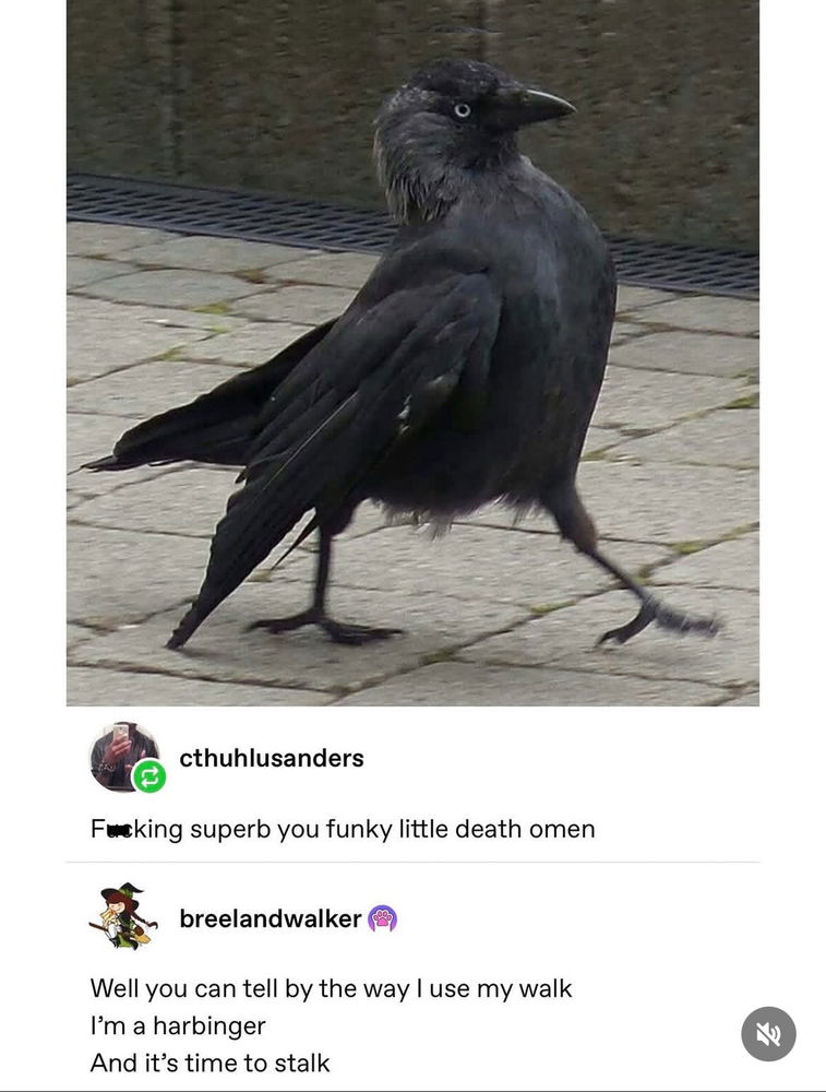 😅