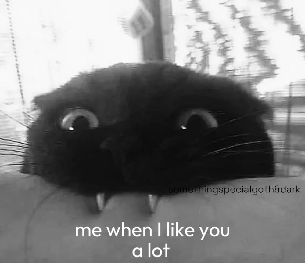 👉🏻👈🏻☺️