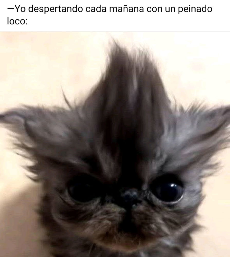 Jajajajajajajaja