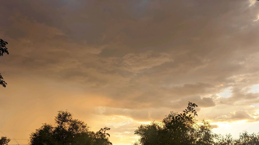The golden hour