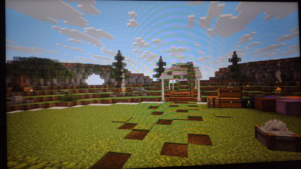 Minecraft playing