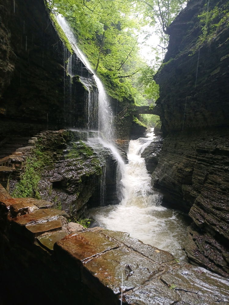 Watkins Glen