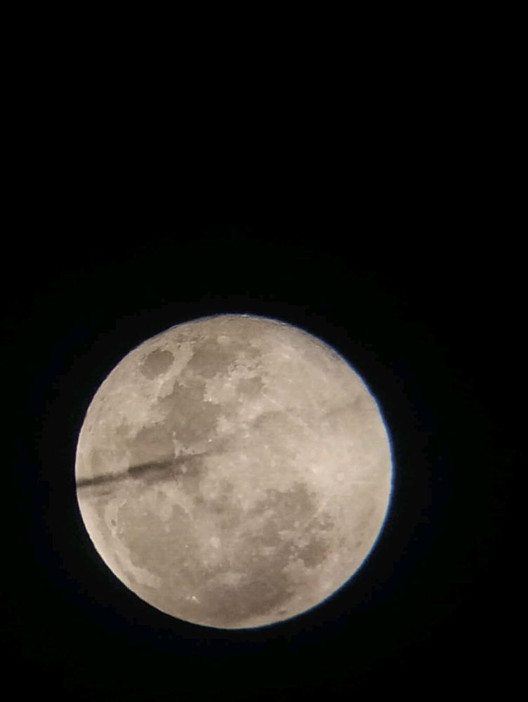 El testigo fiel el los cielos