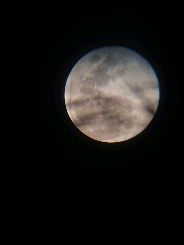 El testigo fiel el los cielos