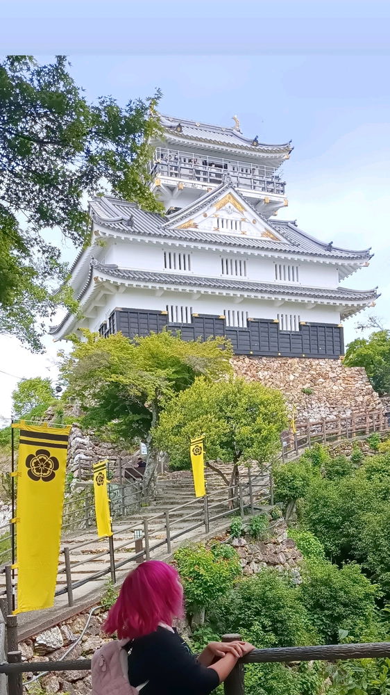 Gifu Castle, Gifu-ken