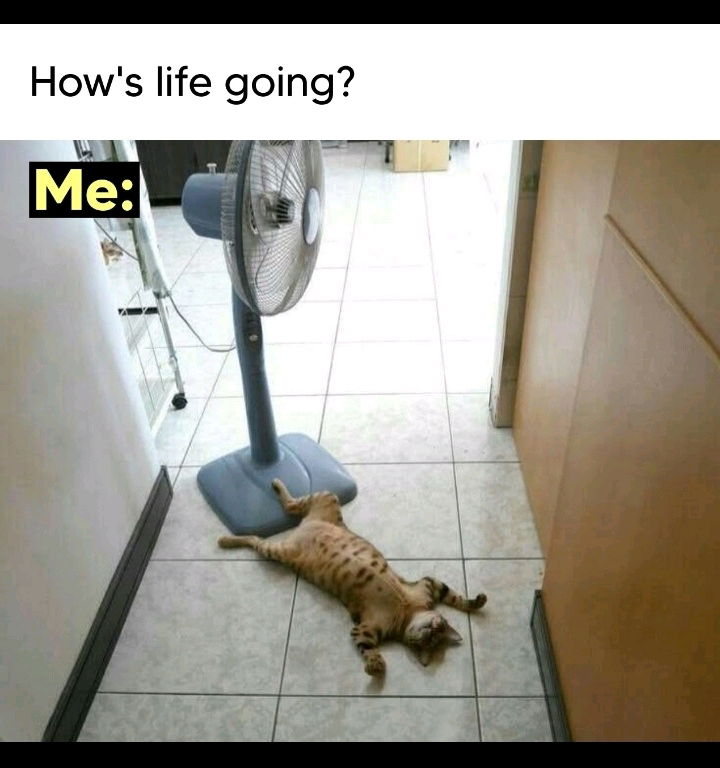 Lifestyle