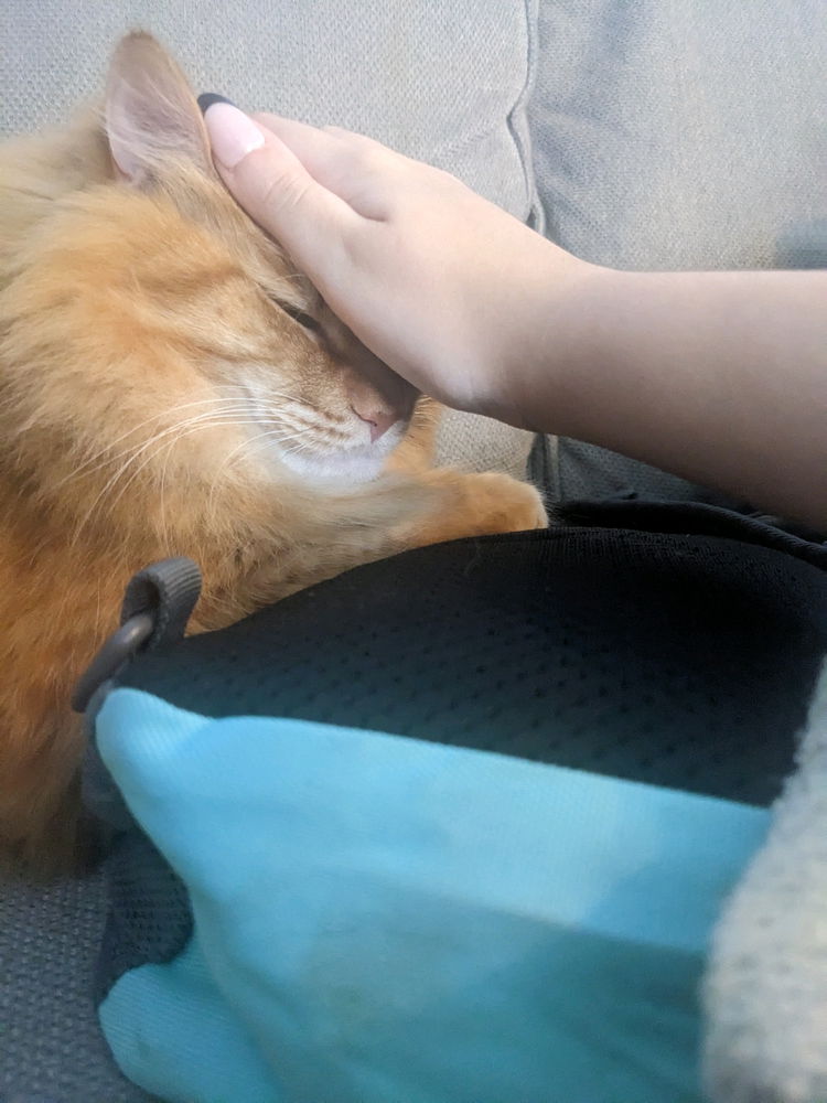 he loves me 🥰