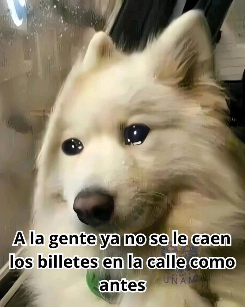 Triste realidad