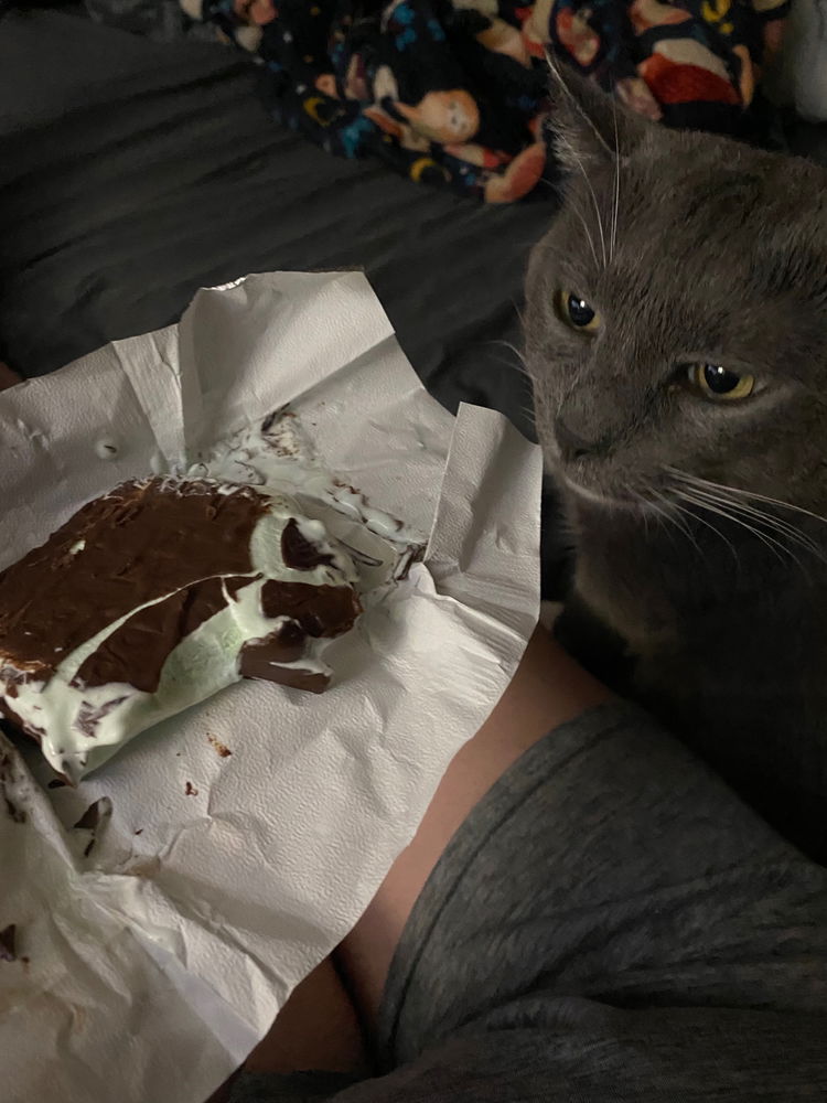 He needs the ice cream