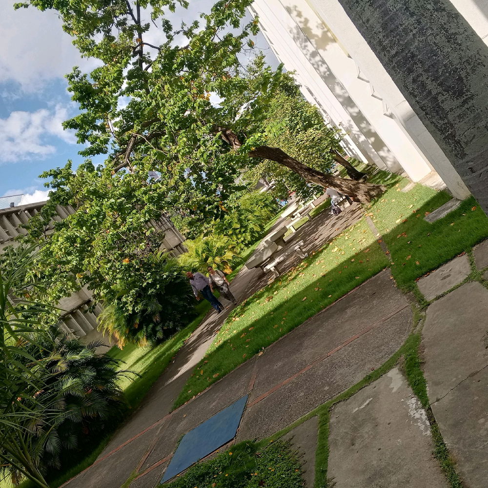 A alguien más le fascina la UCV?
