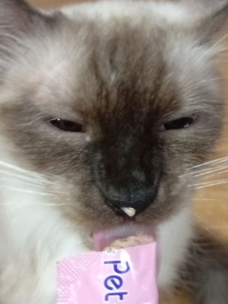 Kimchi