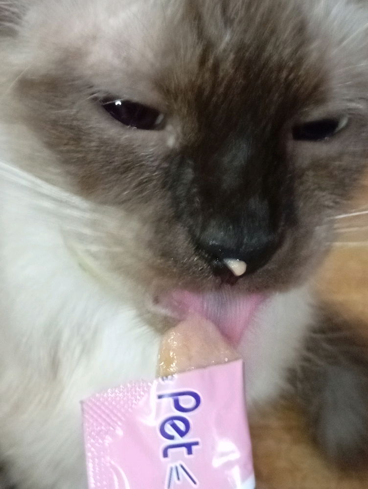 Kimchi