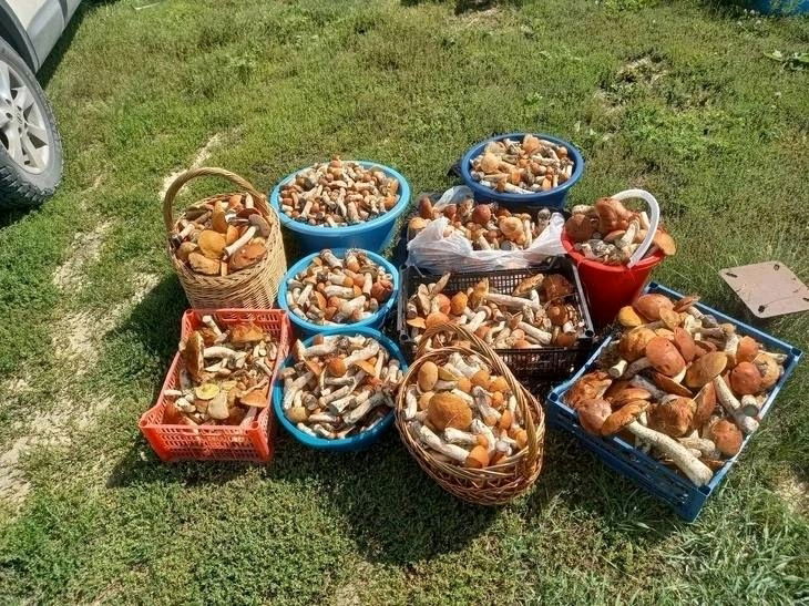 Родители ❤
За 2 часа
Ярославская область)