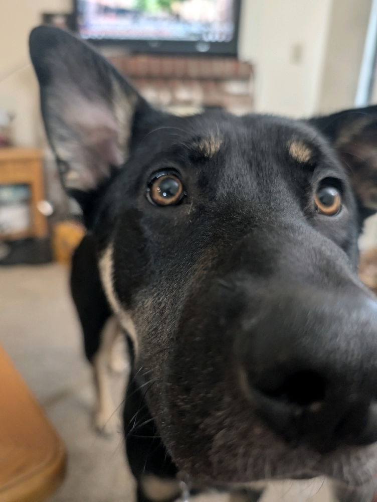 Boop!