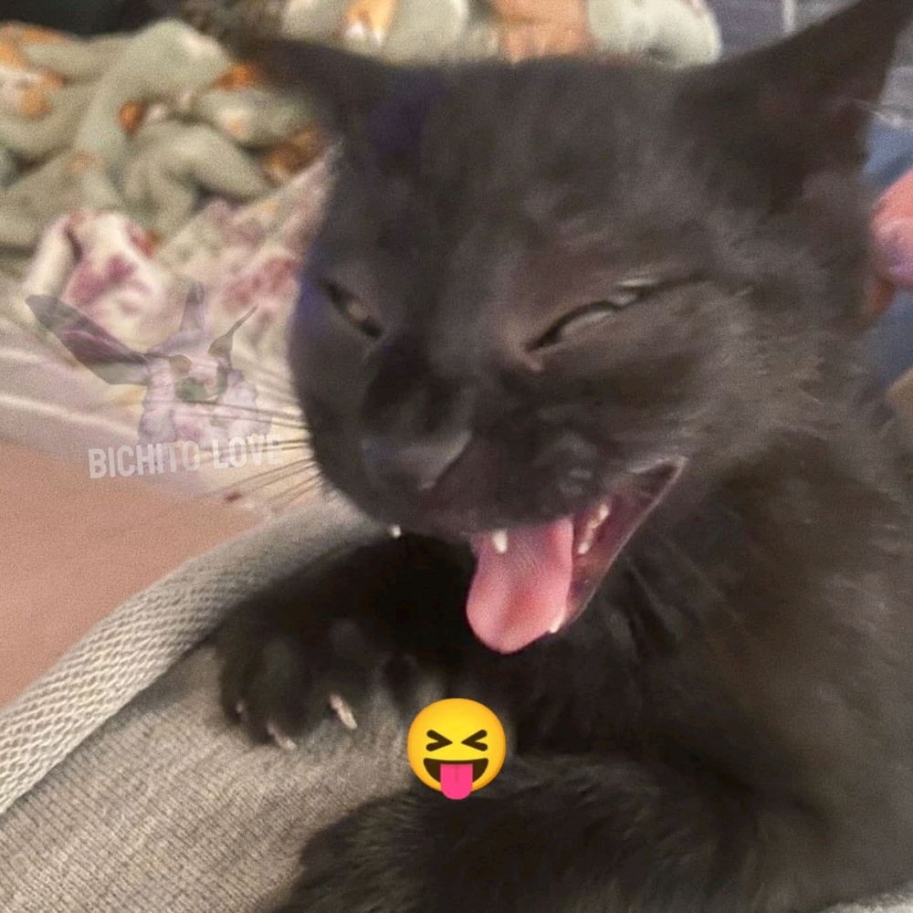 😝