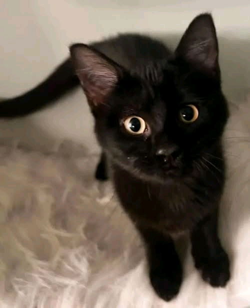 He knows he's cute!