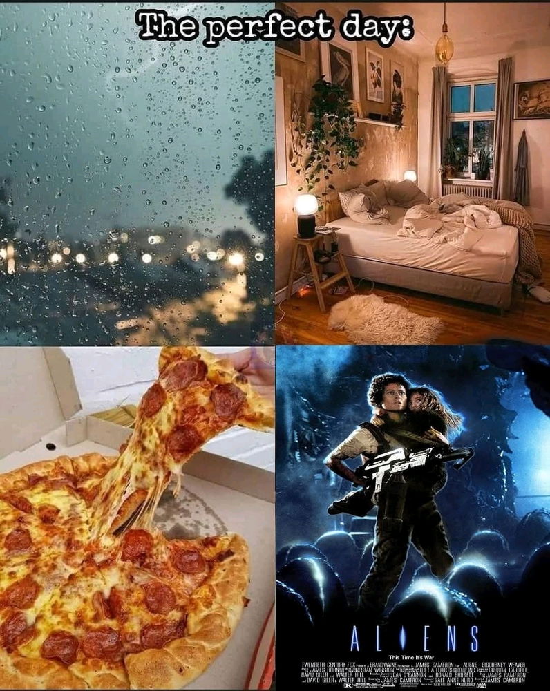 Perfect day